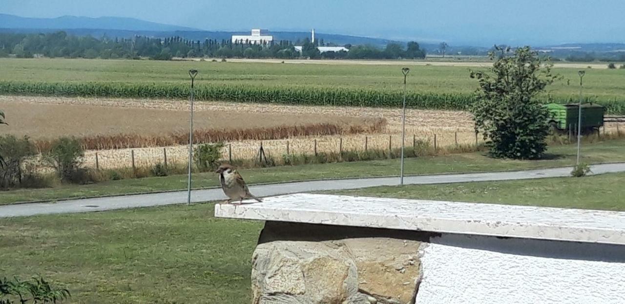 Eliza 1 Birdland Golf Apartman Bük 外观 照片